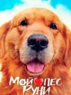 Мой пёс Руни (2023)