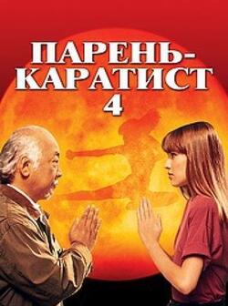 Парень-каратист 4 (1994)