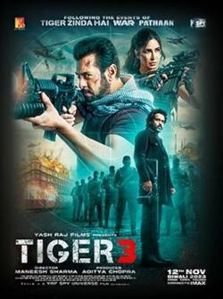 Возвращение Тигра (2023)