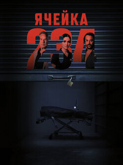 Ячейка 234 (2024)