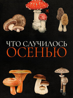 Что случилось осенью (2024)