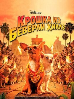 Крошка из Беверли-Хиллз (2008)