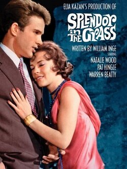 Великолепие в траве (1961)